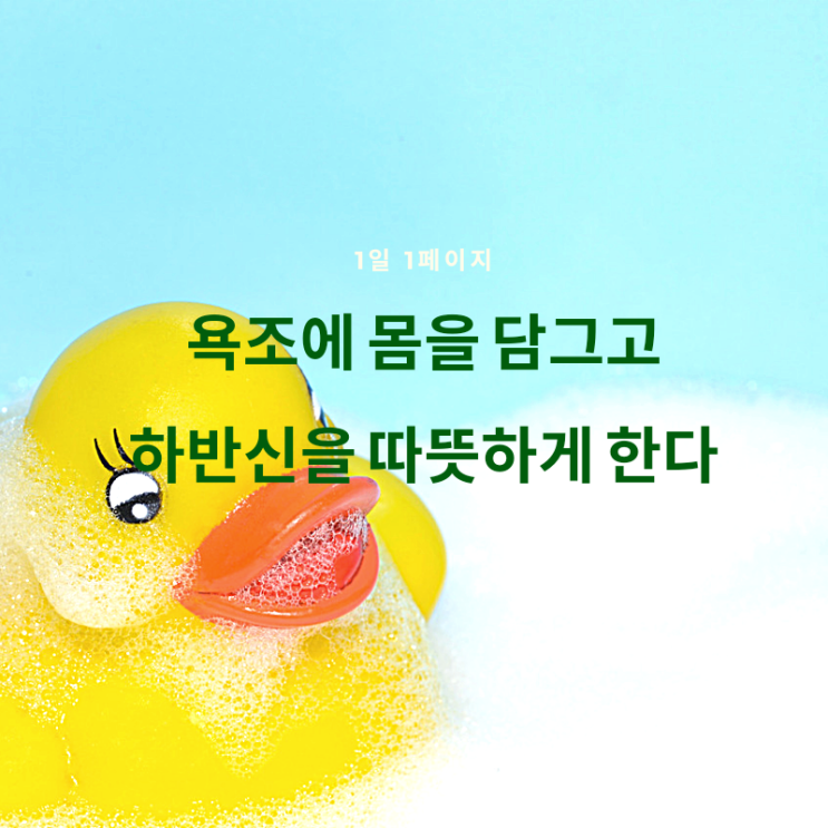  1일 1페이지 ㅡ 67일 욕조에 들어가 하반신을 따뜻하게 한다
