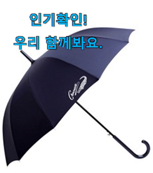 검증된 자동 우산 장우산 아이템목록 맘에드네요.