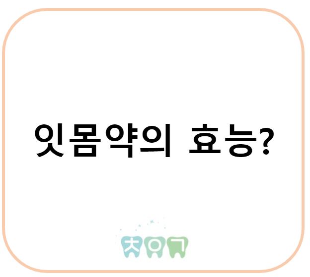  인사돌, 이가탄 등 잇몸약을 꼭 먹어야만 할까?