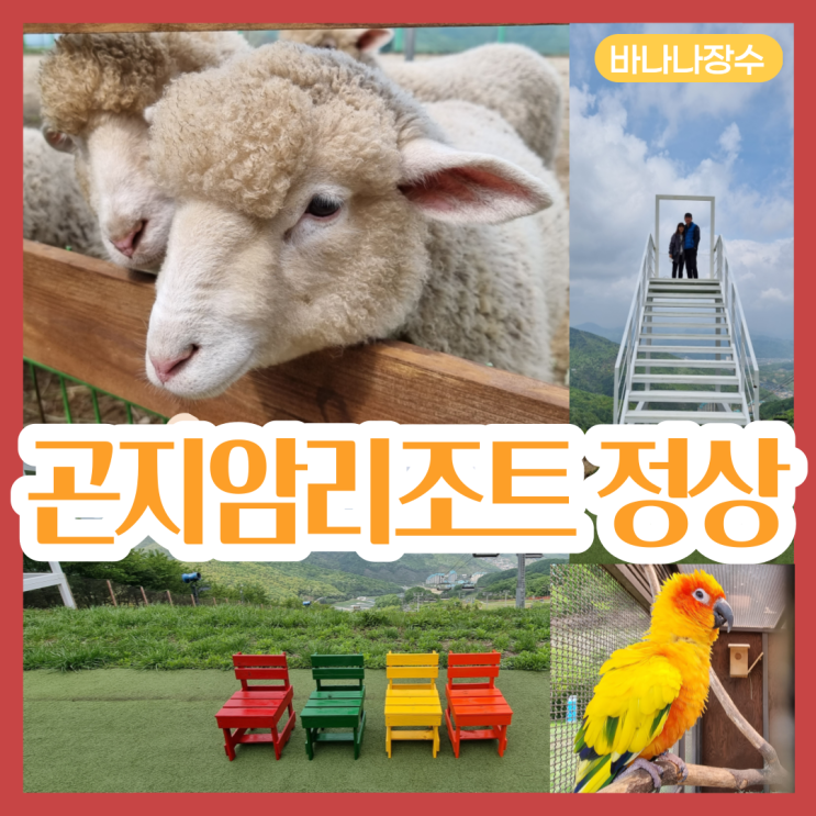  경기도 광주 가볼만한곳 곤지암리조트 곤돌라 정상