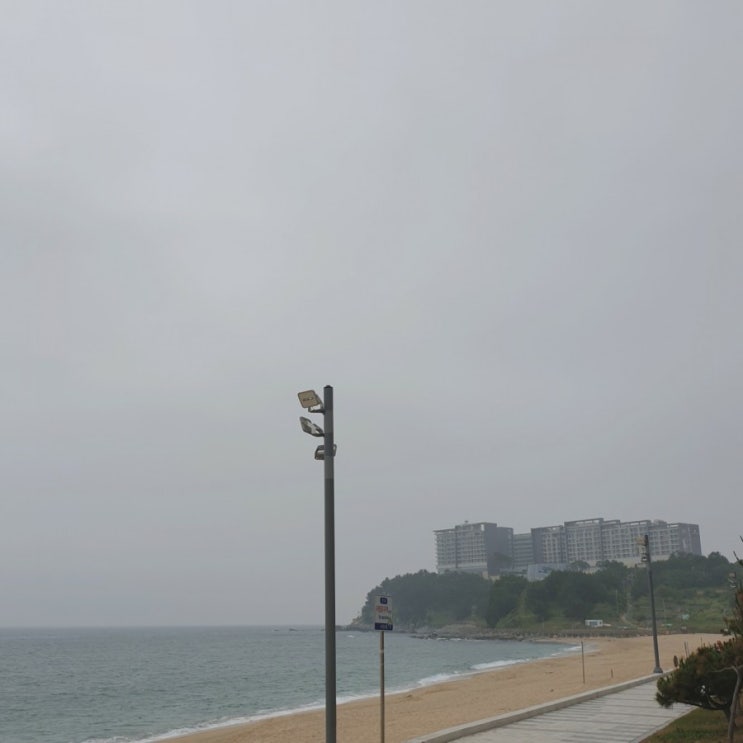  20210528 비오는금