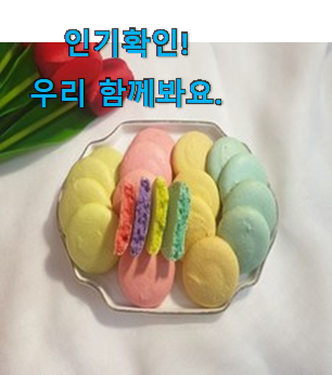 놀라운가격 마카롱 꼬끄 굿템 와이프가 인정하네요