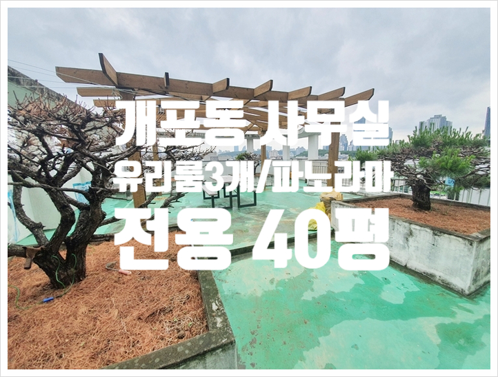  개포동 유리룸 3개 가성비 사무실임대