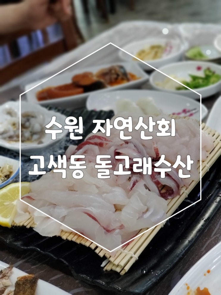 수원횟집 고색동 돌고래수산 자연산회가 가격까지좋아요