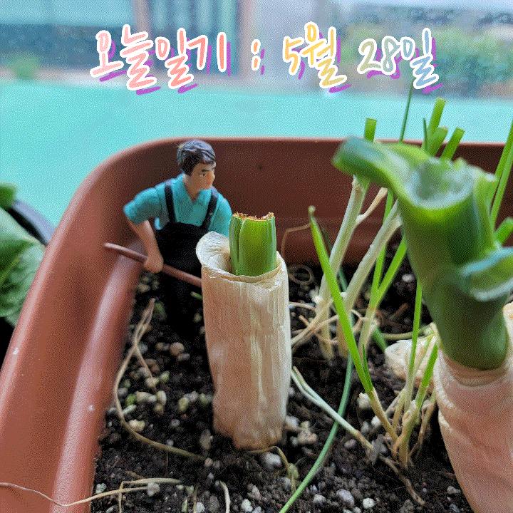  오늘 일기 : 5월 28일