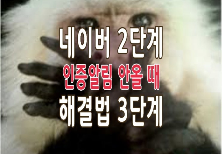 <쉬움주의> 네이버 2단계 인증 알림 안올 때 해제 방법 <쉬움주의> 네이버 2단계 인증 알림 안올 때 해제 방법