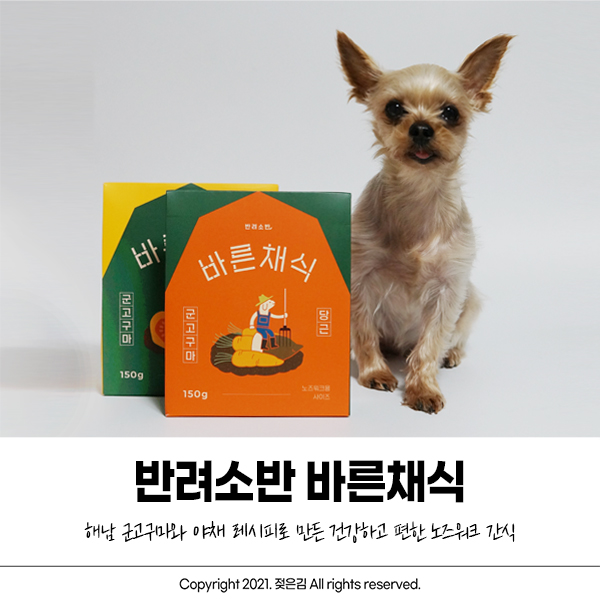 강아지노즈워크간식으로 사이즈가 딱인 반려소반 바른채식 강아지노즈워크간식으로 사이즈가 딱인 반려소반 바른채식
