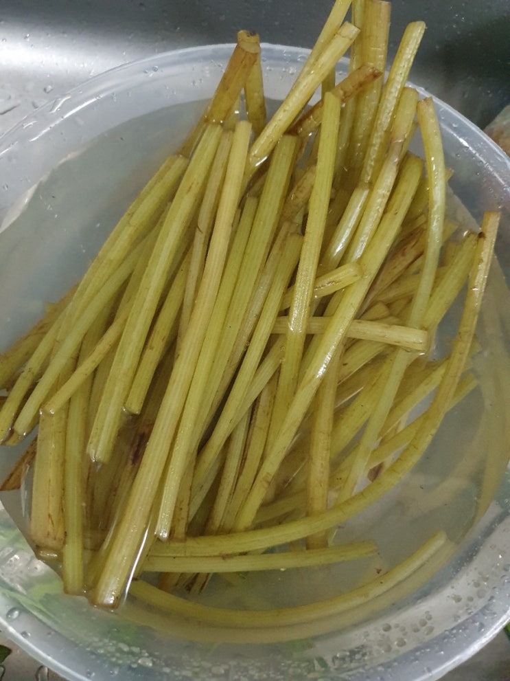 시들면 물을 줘야지ㅠㅠ