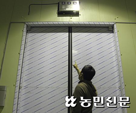 저장성 향상장치 썼는데 사과에 검은 반점이 … 저장성 향상장치 썼는데 사과에 검은 반점이 …