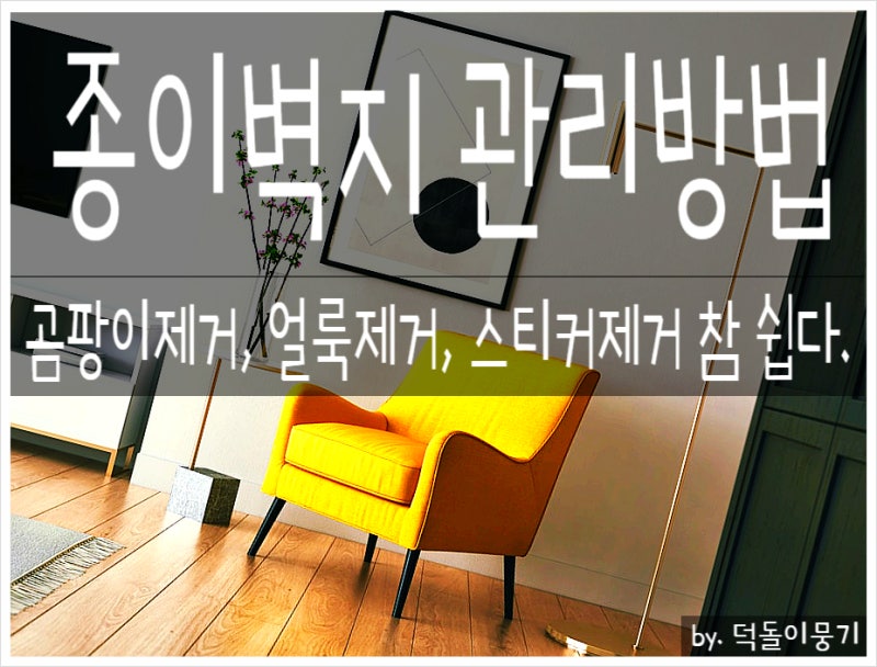 종이벽지 관리방법, 곰팡이 얼룩 스티커제거 건강을 위한다면