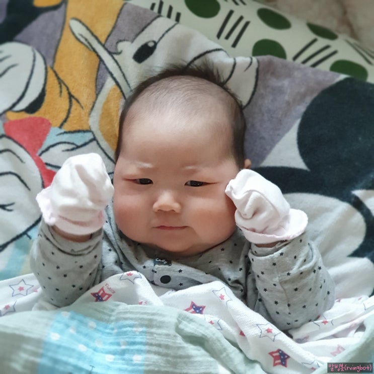  먹놀잠 잘 해야 100일의 기적이 빨리 온다