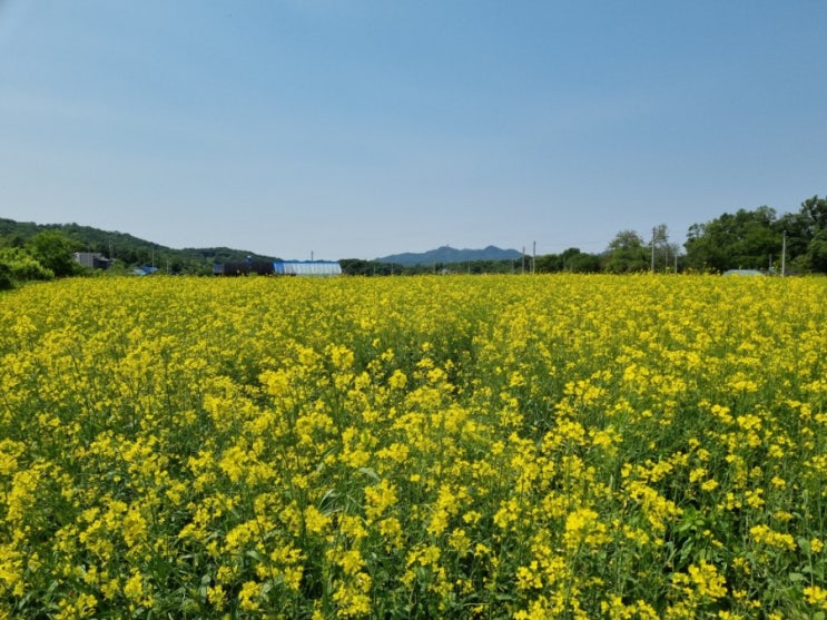  @ 레일바이크 너무좋아