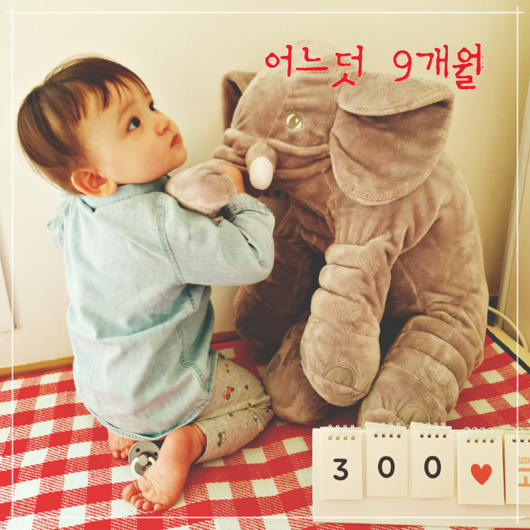  9개월 아기 발달, 300일, 10킬로, 윗니 남, 손떼고 서기, 링쌓기 컵쌓기