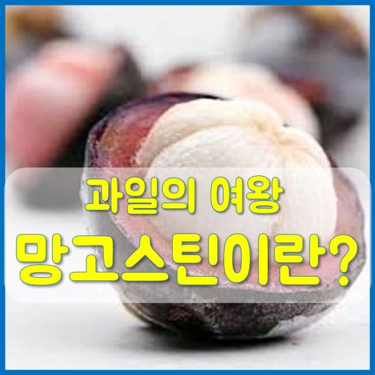  과일의 여왕 망고스틴 먹는법과 효능