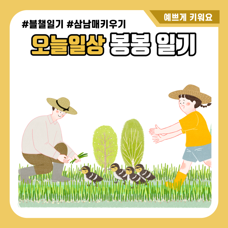  블챌 오늘일기. 이번주 끝