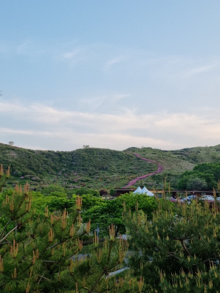 황매산 오토캠핑장 철쭉로드 황매산 오토캠핑장 철쭉로드