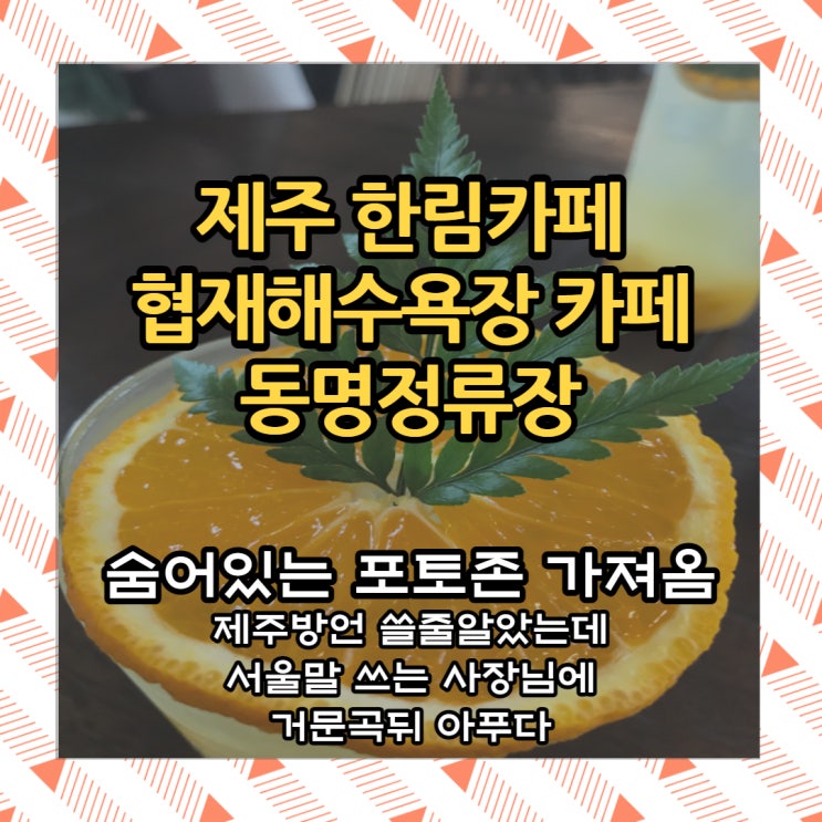  제주여행코스 추천 제주 동명정류장 한림 카페 협재 해수욕장 카페  주차 팁