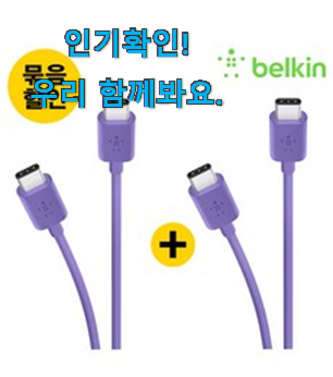 콕 찝어알려드림 벨킨 ctoc 꿀템추천 이건 사야합니다