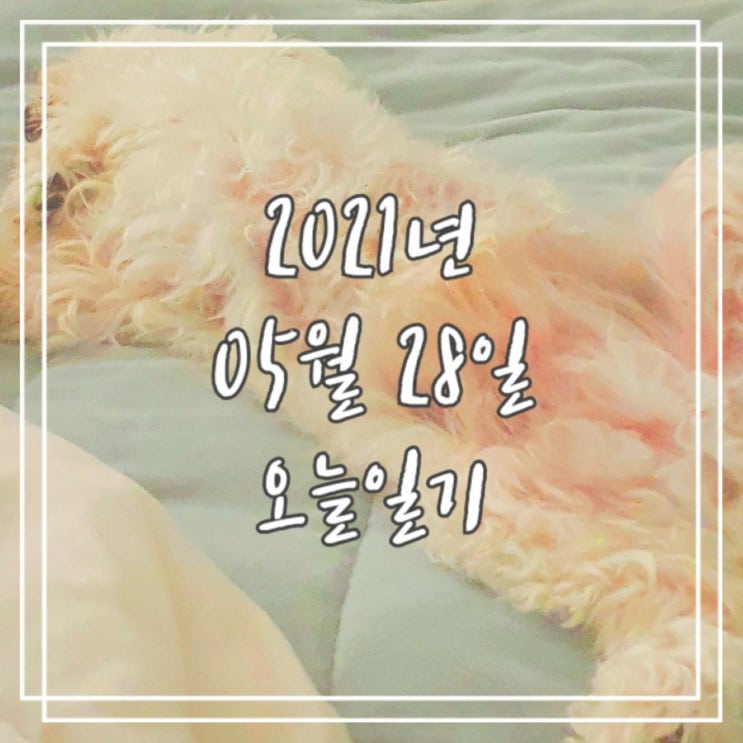  2021년 5월 28일