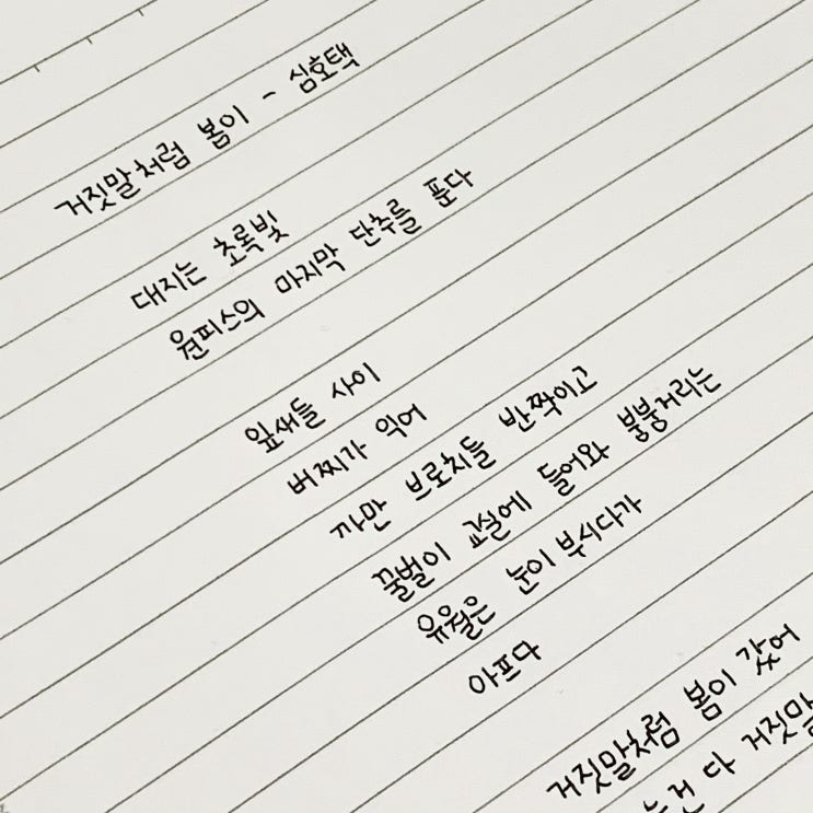  [시 필사] 거짓말처럼 봄이 - 심호택