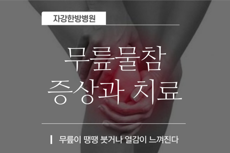  무릎물참 증상과 치료 예방법 좋은음식 붓거나 열감이 느껴진다!