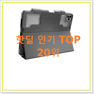 맘에드는 코스트코아이패드프로 인기 순위 TOP 20위