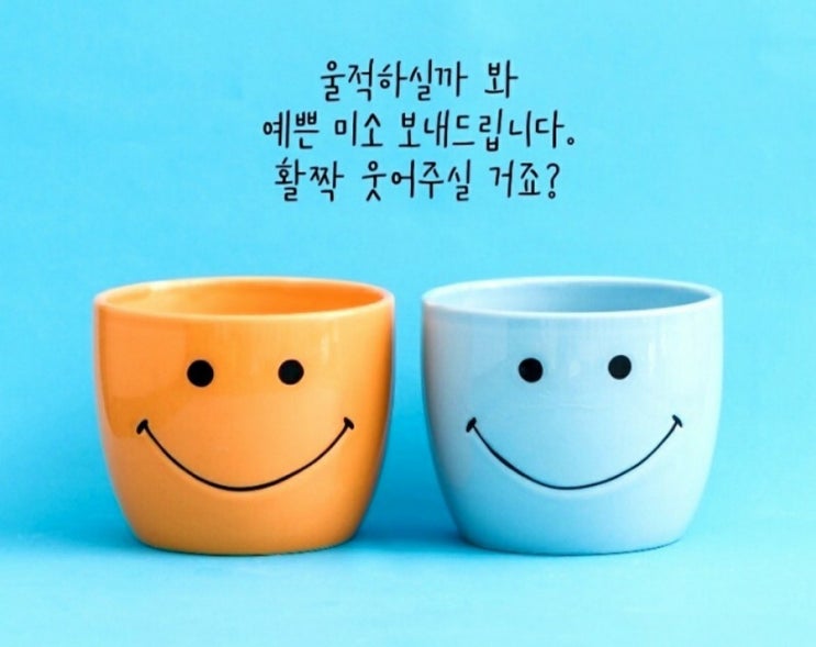  신문을 통해 알게된 것들
