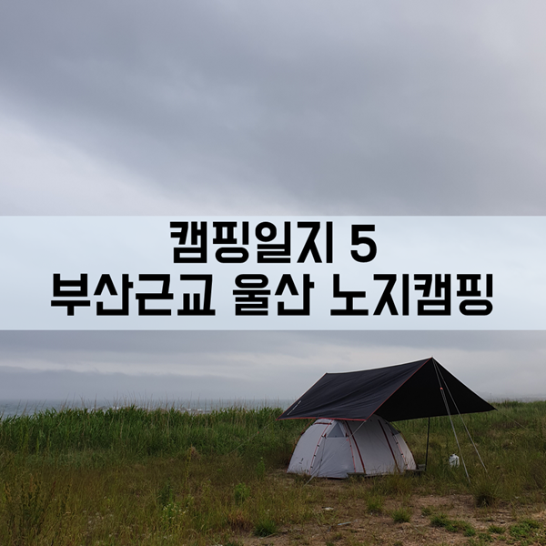 울산 노지캠핑, 캠핑 일지 5 - 부산근교 노지캠핑 텐트 안에서 불멍화로대 쓰기