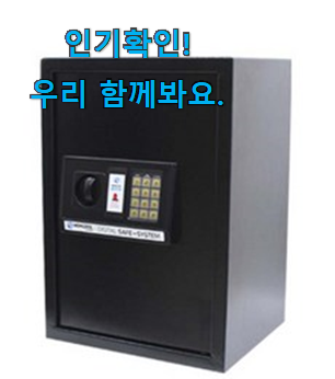  오늘의 가정용 금고 목록 이건 사야합니다