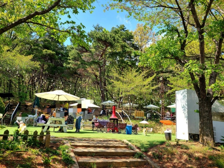 대구 애견 동반 식당 캠핑 삼겹살 포레스트26 방문 솔직 후기(내돈내산) 대구 애견 동반 식당 캠핑 삼겹살 포레스트26 방문 솔직 후기(내돈내산)