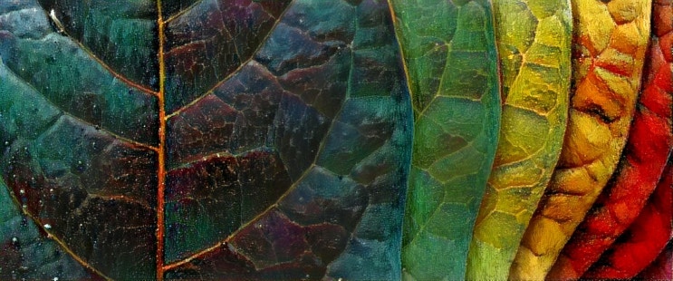 2013.06.나뭇잎#636 산트리노,남이,남인우,교수 이력서,화가,그림,미술,대학교수,일러스트,이미지,추천,바탕화면,배경화면,화백,학자,연구인,교육인,작가,연구학술인,아이폰,겔럭시,서양화,여행,풍경,고화질,사진,화가이름,유명한화가,국내화가,자연,도시 2013.06.나뭇잎#636 산트리노,남이,남인우,교수 이력서,화가,그림,미술,대학교수,일러스트,이미지,추천,바탕화면,배경화면,화백,학자,연구인,교육인,작가,연구학술인,아이폰,겔럭시,서양화,여행,풍경,고화질,사진,화가이름,유명한화가,국내화가,자연,도시