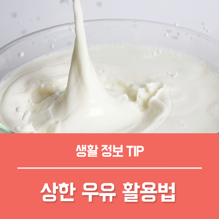 상한우유 활용법 : 유통기한 지난 우유 활용해봐요~