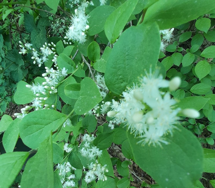  상속재산분할 청구 사례로 알아보기