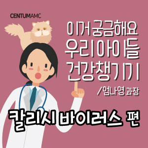  고양이 전염성 질환 ① 칼리시 바이러스 편 (센텀동물메디컬센터 엄나영 수의사)