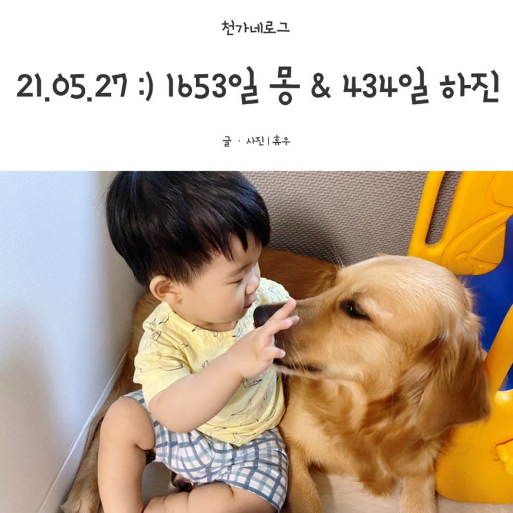  2021.05.27 목요일 애개육아434일