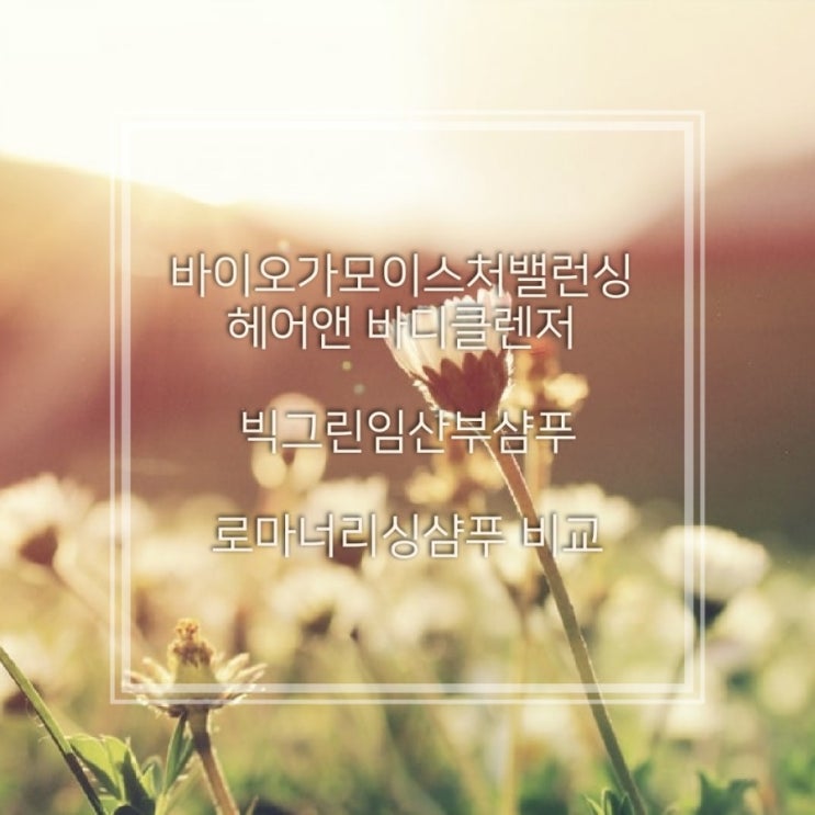  [임산부샴푸]바이오가모이스처샴푸&빅그린샴푸&로마너리싱샴푸 내돈내산 비교