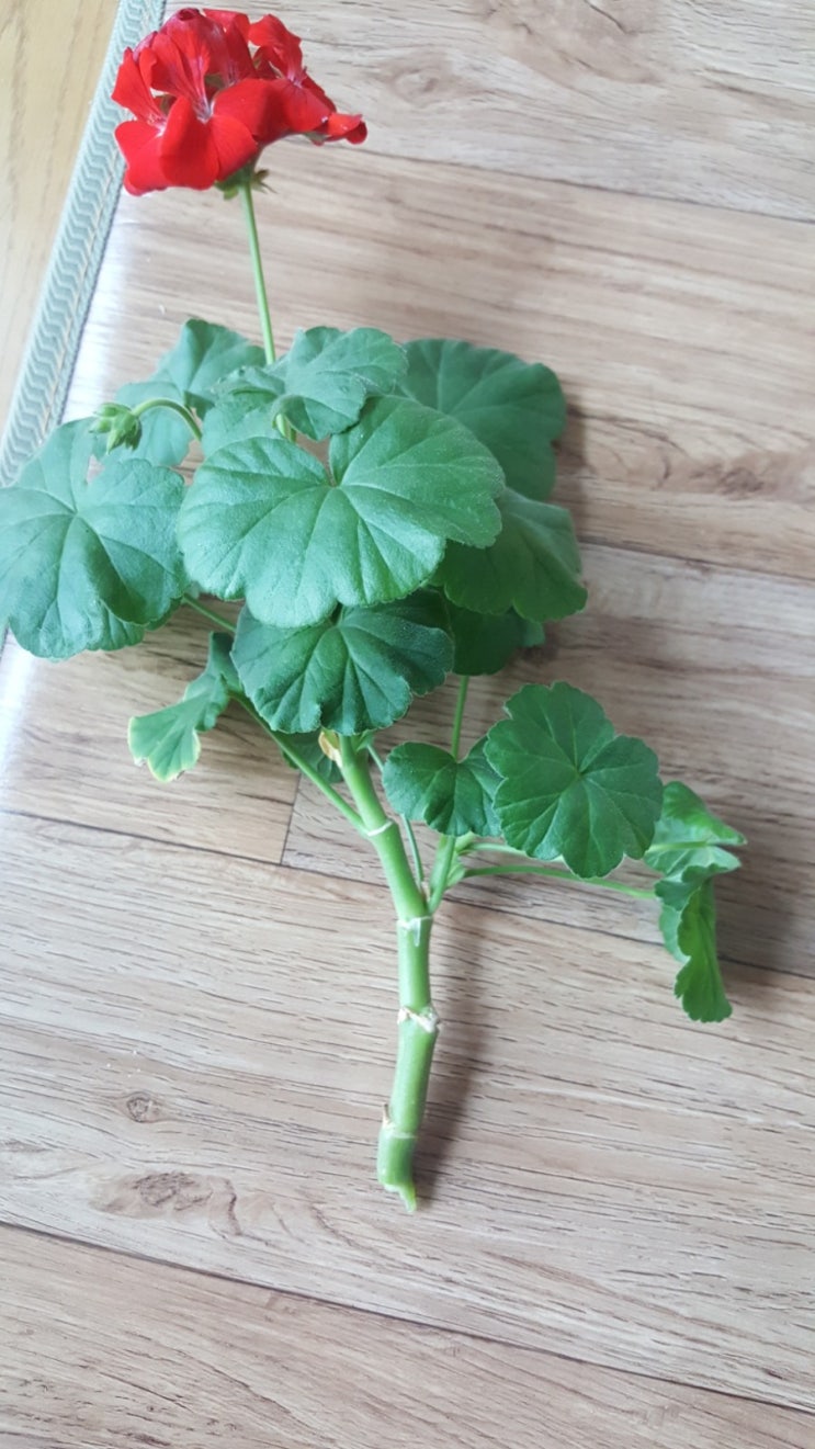  블로그 챌린지 오늘일기 5/28