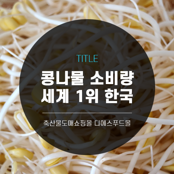 [디푸의 틈새정보]콩나물 소비량 세계1위 한국