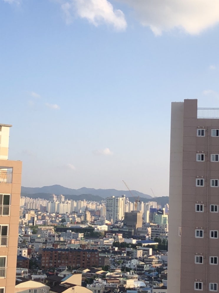  5월 28일 일기 - 비가 개고 쨍쨍 하늘