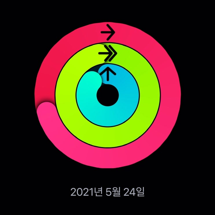  5월 24일 ~ 27일 운동기록