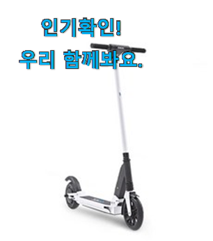  대박난 롤리고고 전동킥보드 구매목록 부모님도 맘에 들어해요