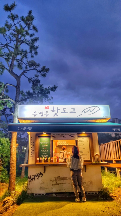  사진 편집 놀이 - 보정 전 후 비교