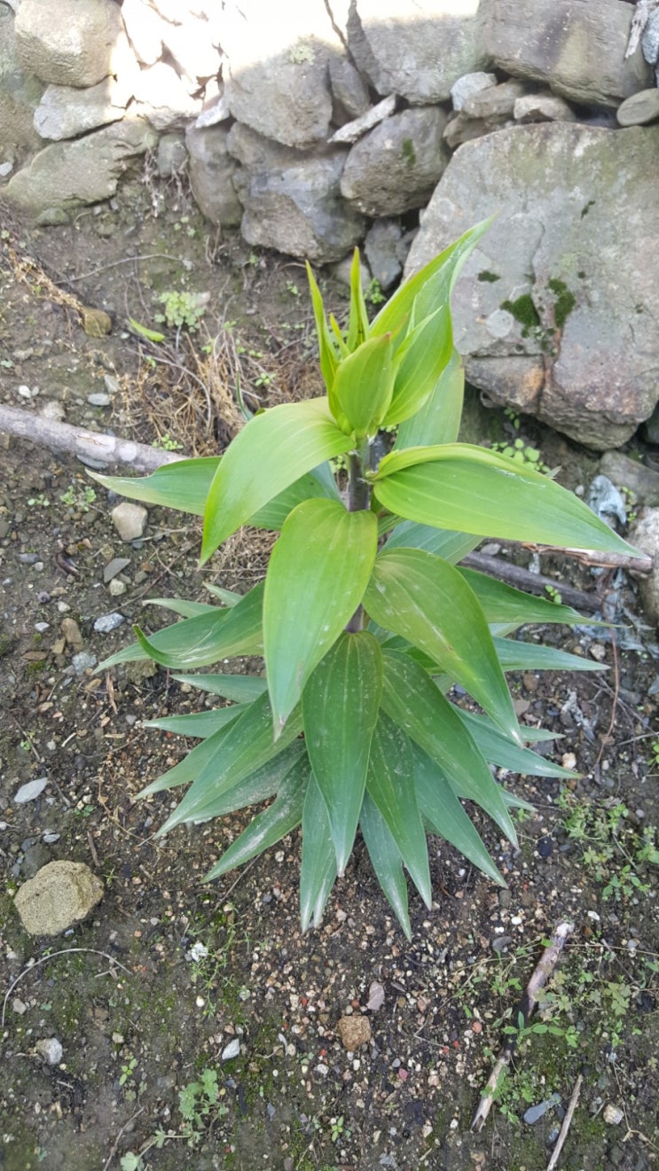  블로그 챌린지 오늘일기 5/29