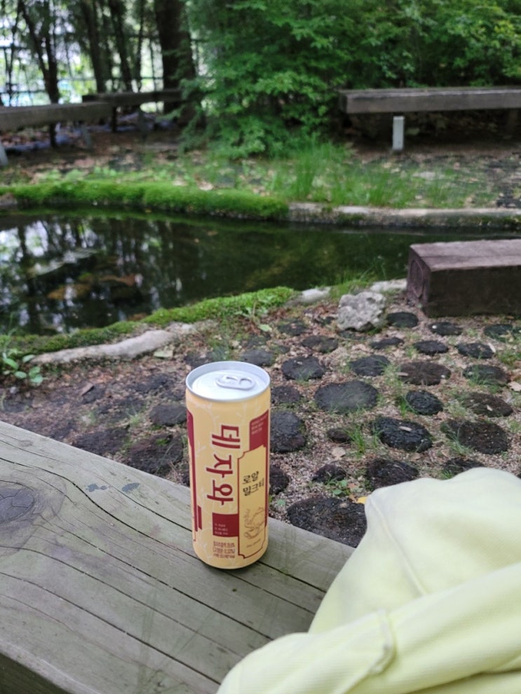 오늘일기-6