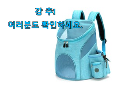 자랑스런 반려견백팩 목록 이건 못참겠어요. 자랑스런 반려견백팩 목록 이건 못참겠어요.