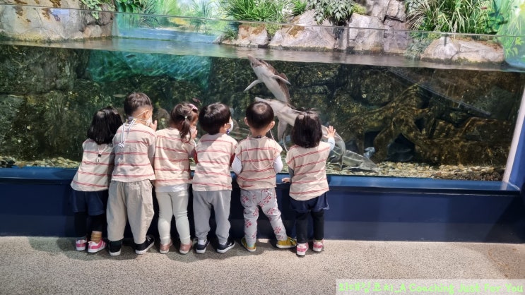  [어린이집 소풍] 쌍둥이 자매 _ 강릉 아쿠아리움에 가다