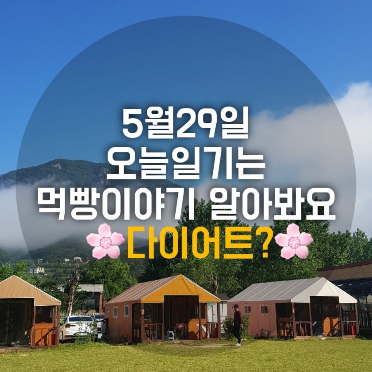오늘일기 5월29일 먹방대잔치 다이어트 챌린지는 벌써포기? 오늘일기 5월29일 먹방대잔치 다이어트 챌린지는 벌써포기?