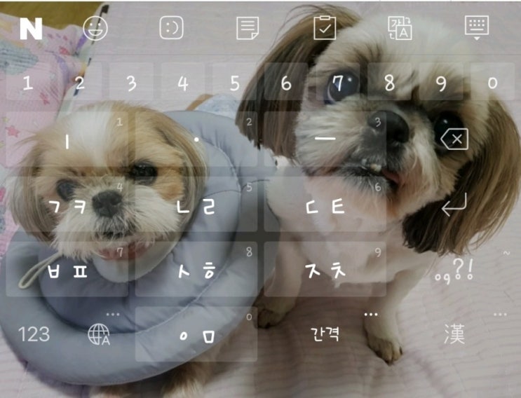  [오늘일기] 까까쟁이 지유. 주말은 까까와 함께
