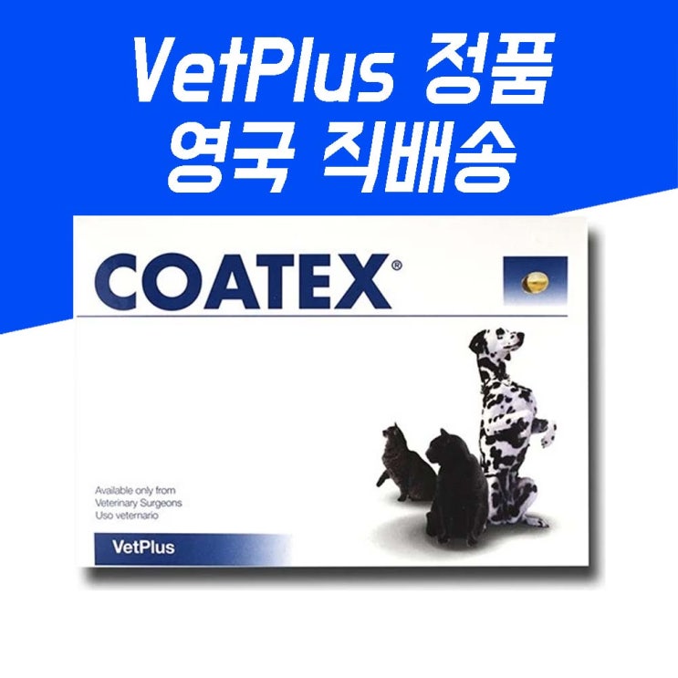 의외로 인기있는 Coatex 코텍스 블리스터 피부 영양제 오메가3 60캡슐 강아지 고양이 습진 약 병 ···