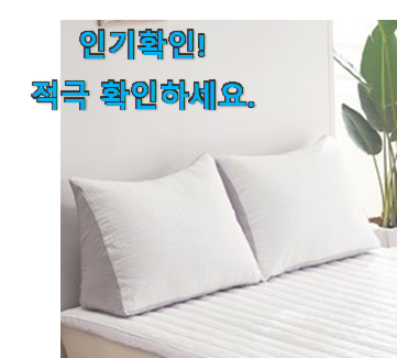  매혹적인 삼각 등쿠션 2인용 제품 강추에요!